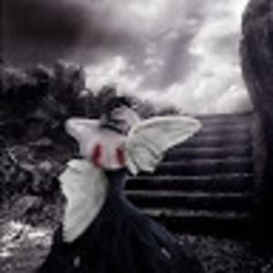 Meet your Posher, Terry